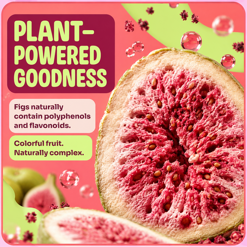 Tropical Dried Guava – Vitamin C-Rich Superfruit Snack